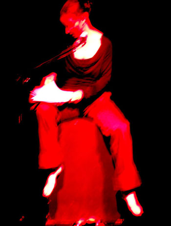 Flamingo_1
